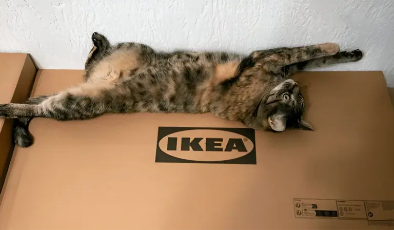 IKEA Mobilya Montajını Kendin mi Yapmalısın, Ustaya mı Bırakmalısın?